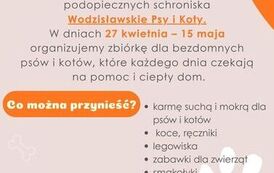 Zielony Organiczny Adoptuj Psa Plakat A3